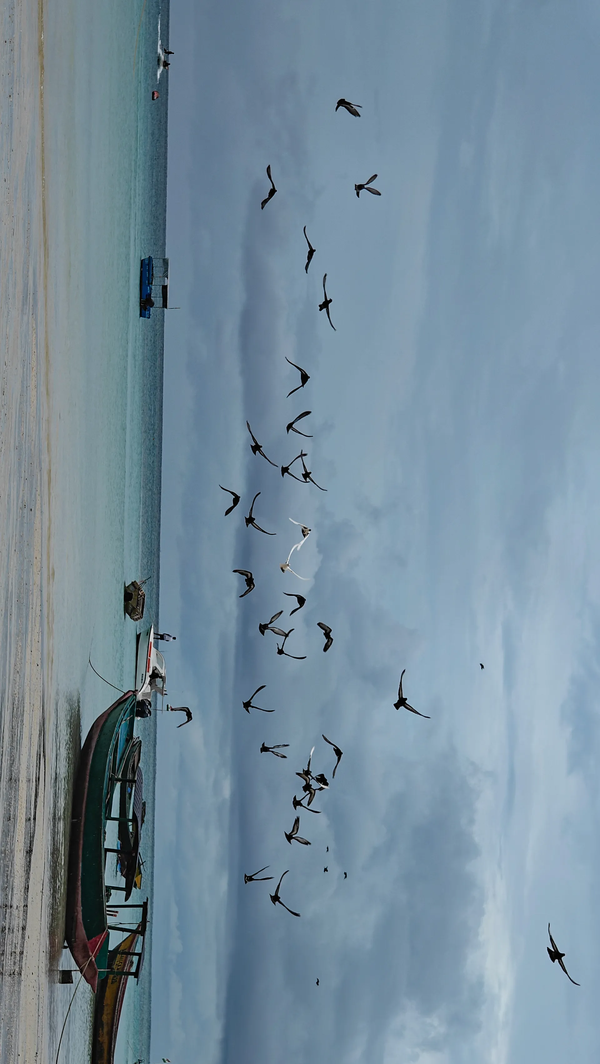 IMG20241020131034_01 (1)